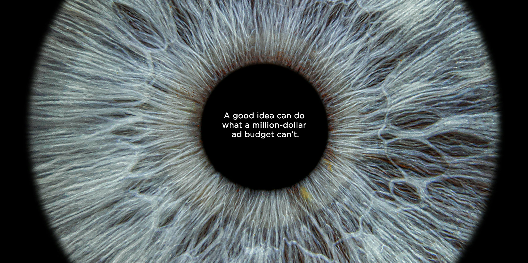 creative ideas for branding