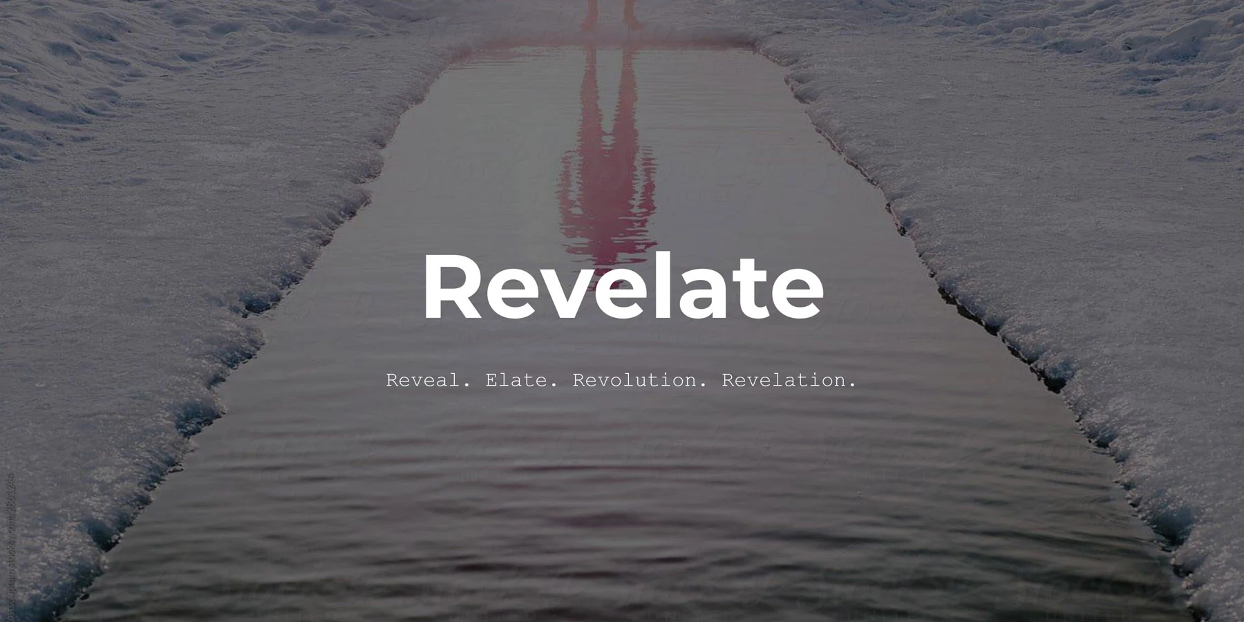revelate data exchange 